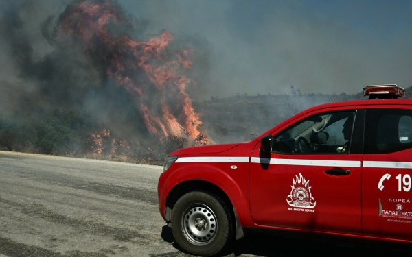 Βοιωτία: Υπό μερικό έλεγχο η πυρκαγιά σε δασική έκταση στον Αλίαρτο