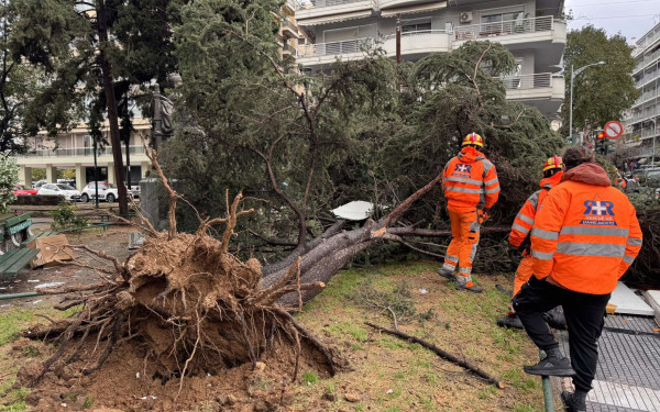 «Καμπανάκι» Τσατραφύλλια: Η κακοκαιρία Bora δεν έχει τελειώσει -Αναμένονται δύο νέα κύματα