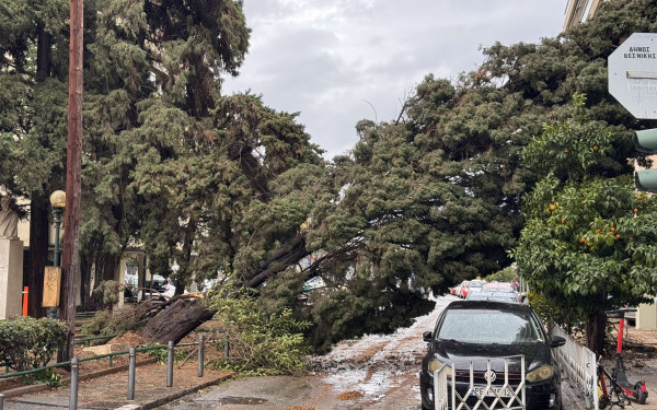 Πανόραμα Θεσσαλονίκης: Χωρίς ρεύμα και νερό για τρίτο 24ωρο - Μήνυση κατά του ΔΕΔΔΗΕ από το δήμο