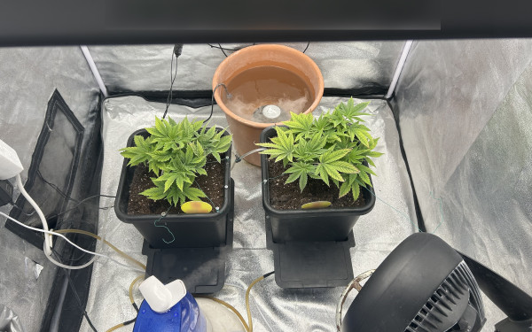 Βέροια: Δύο συλλήψεις για ναρκωτικά