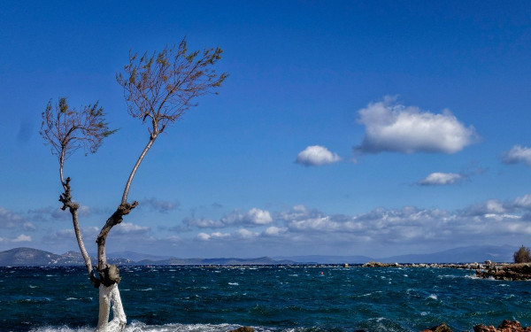 Καιρός: Με αέρα και πτώση της θερμοκρασίας η αρχή της εβδομάδας