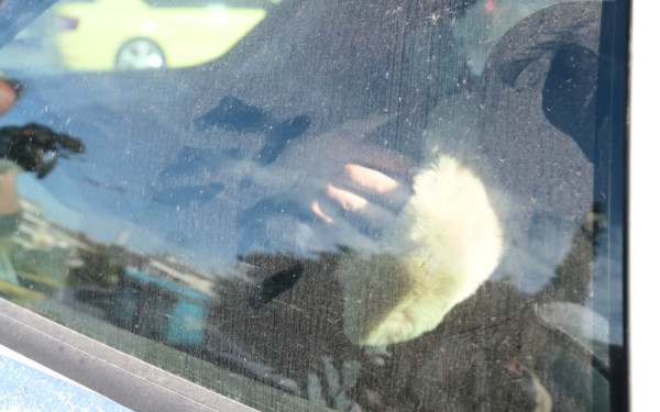 Στην Ευελπίδων η Ειρήνη Μουρτζούκου: Οδηγείται στον εισαγγελέα - Κρύφτηκε από τις κάμερες και φόρεσε κουκούλα (βίντεο)