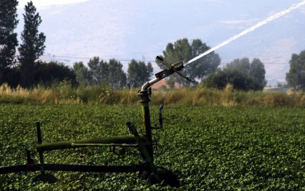 ΥΠΑΑΤ: Αίτημα στην ΕΕ για έκτακτη Ενίσχυση 178 εκατ. € σε γεωργούς που επλήγησαν από φυσικές καταστροφές