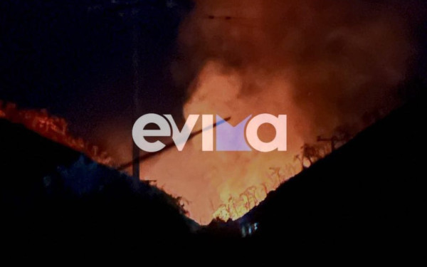 Φωτιά σε χώρο απορριμμάτων στην Εύβοια (φωτ.)