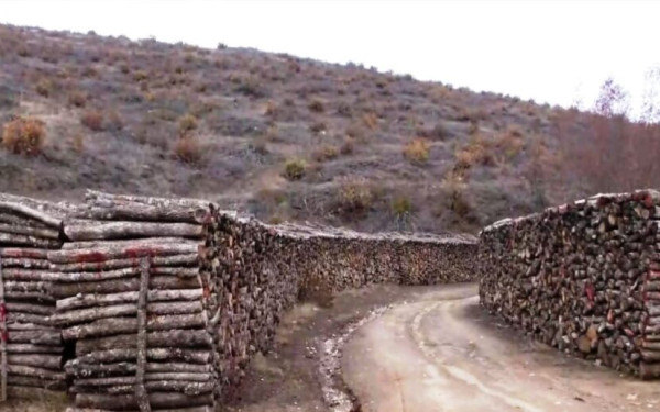 Σέρρες: Μεγάλες ποσότητες καυσόξυλων παραμένουν αδιάθετες λόγω καιρού και υπερπροσφοράς