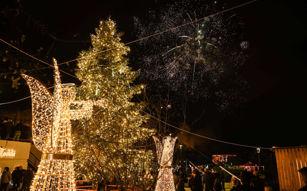 Θεσσαλονίκη: Σήμερα ανάβει το χριστουγεννιάτικο δέντρο των Συκεών