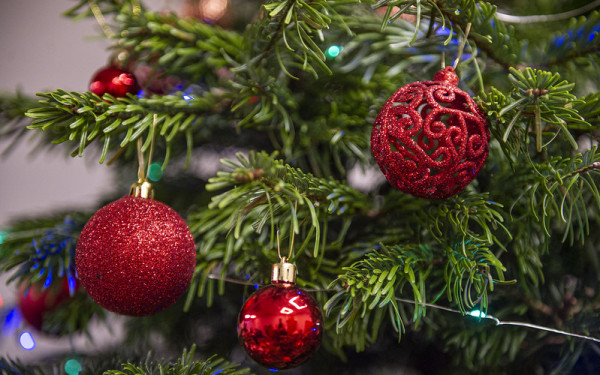 Χριστούγεννα Πρωτούγεννα στη Δημόσια Βιβλιοθήκη της Βέροιας