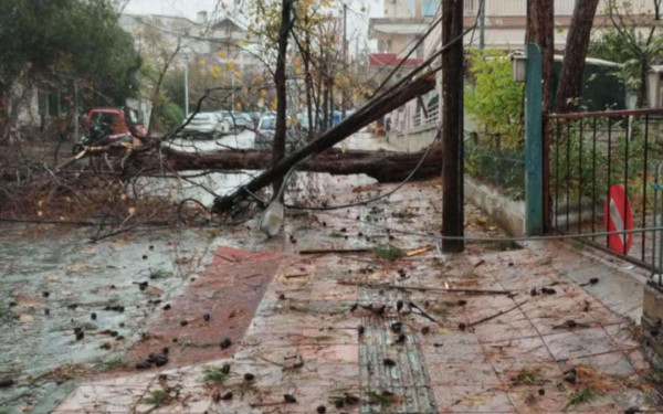 Διακόσια δέντρα κατέστρεψε η κακοκαιρία στο δήμο Θέρμης