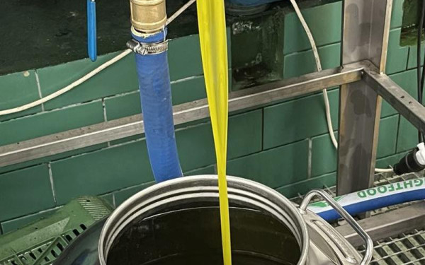 Θεσσαλονίκη: Βγήκε το πρώτο «εξαιρετικά παρθένο ελαιόλαδο» του δήμου Θεσσαλονίκης (φωτ.)