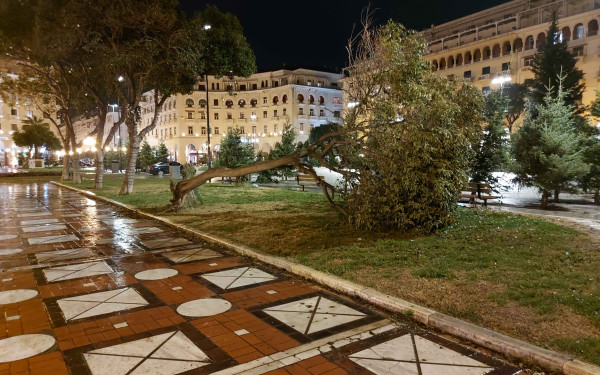 Θεσσαλονίκη: 1.039 κλήσεις για κοπές δέντρων έλαβε η Πυροσβεστική - Πού έχει πεσμένα δέντρα τώρα (φωτ.)