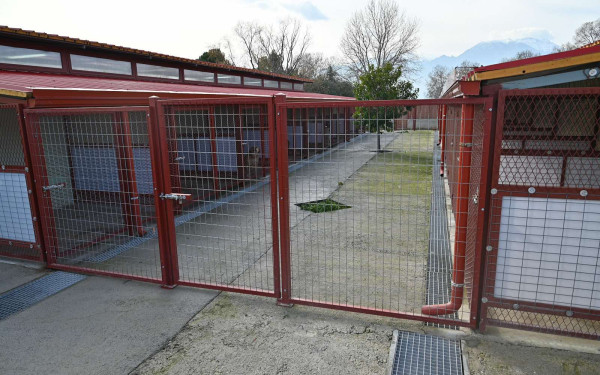 Δήμος Κατερίνης: Με μεγάλη ανταπόκριση και συμμετοχή η γιορτή εθελοντών & δημοτών στο Κυνοκομείο