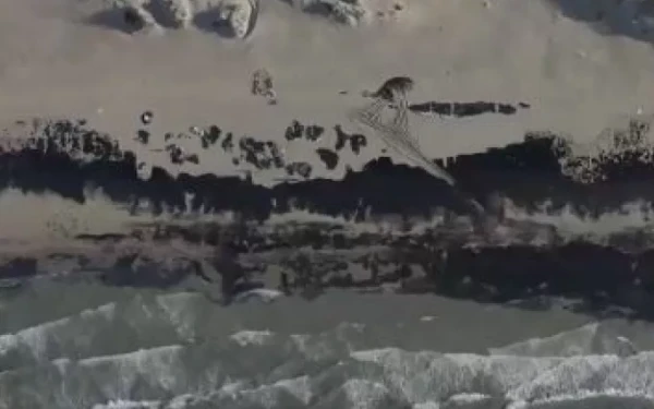 Ρωσία: Κατάσταση έκτακτης ανάγκης λόγω της πετρελαιοκηλίδας στη Μαύρη Θάλασσα