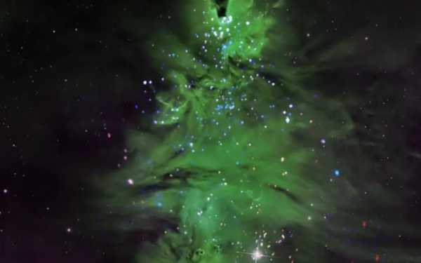 Αστρικό σμήνος σχηματίζει ένα... χριστουγεννιάτικο δέντρο - Η εντυπωσιακή φωτογραφία της NASA