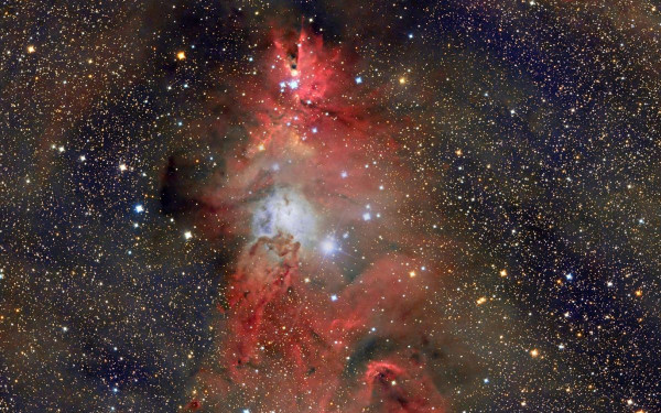 Χριστουγεννιάτικο δέντρο αποτυπώθηκε σε νεφέλωμα στο Διάστημα