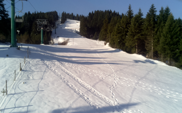 ΑΠΘ: Ομόφωνο «όχι» από το Τμήμα Δασολογίας στην παραχώρηση της νομής του χιονοδρομικού κέντρου Περτουλίου