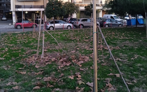 Θεσσαλονίκη: Άγνωστοι έσπασαν τα νέα δέντρα που φυτεύτηκαν στη Νέα Παραλία (φωτ.)