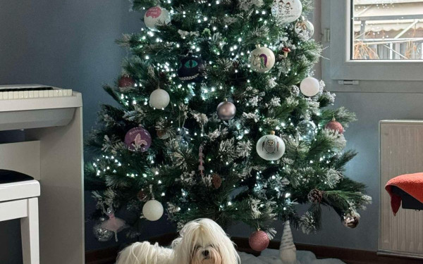 Θεσσαλονίκη: Χριστουγεννιάτικο δέντρο στολισμένο με ήρωες κόμικς, ζαρζαβατικά, ουζομεζέδες, μπικουτί και... ψαλίδια (φωτ.)