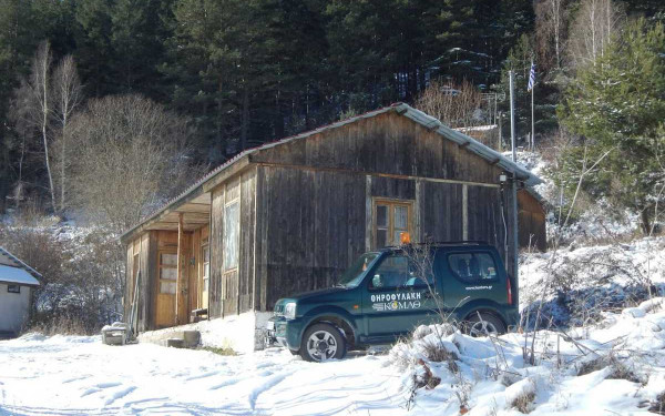 Σημάδια ανάκαμψης στην ορεινή Ροδόπη και το δάσος του Φρακτού για το απειλούμενο αγριόγιδο των βαλκανίων