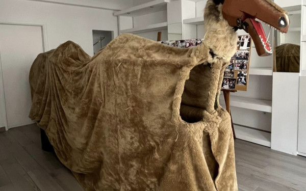 Χαλκιδική: Το έθιμο της «Καμήλας» & της νύφης αναβιώνει στη Γαλάτιστα