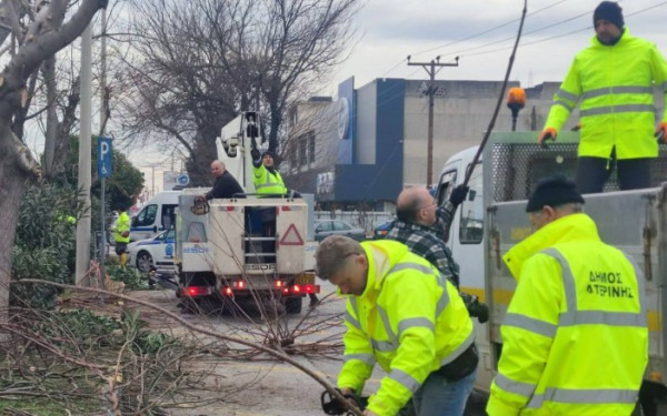 Δήμος Κατερίνης: Άμεση εξυπηρέτηση των δημοτών από την αντιδημαρχία Πρασίνου