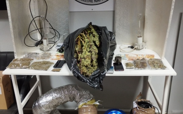 Ημαθία: Δύο συλλήψεις για κατοχή, καλλιέργεια και διακίνηση ναρκωτικών