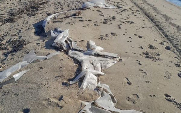 Χαλκιδική: Γεμάτη νάιλον μια από τις πιο γνωστές παραλίες - Δείτε φωτογραφίες