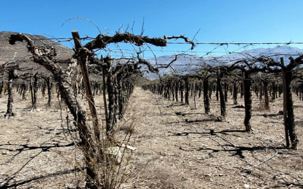 Ακραίες ξηρασίες: Όλο και πιο συχνές, σοβαρές και εκτεταμένες