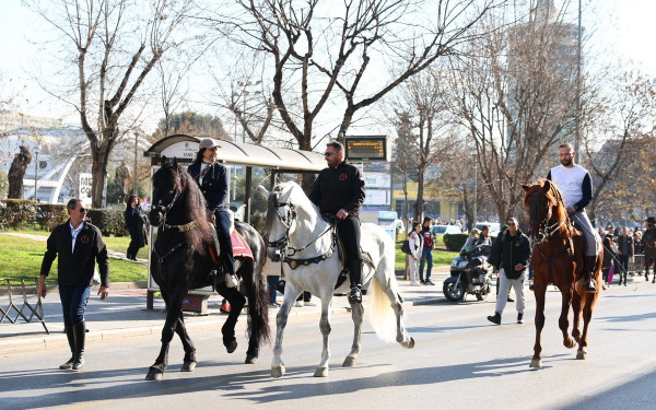 Θεσσαλονίκη: Εντυπωσιακά άλογα βγήκαν βόλτα στους κεντρικούς δρόμους της πόλης