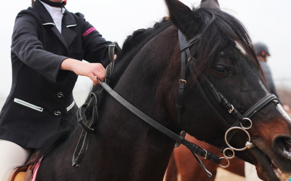 Θεσσαλονίκη: Τα «μυστικά» μιας παρέας οδήγησαν στις καταγγελίες για τον προπονητή ιππασίας