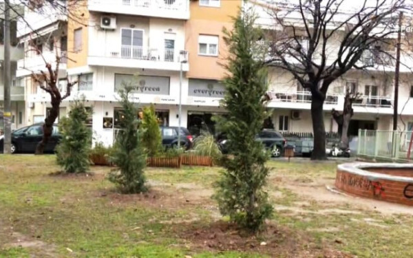Αλεξανδρούπολη: Πενήντα  χριστουγεννιάτικα δέντρα μεταφυτεύθηκαν σε πάρκα και σχολεία
