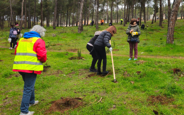 Θεσσαλονίκη: Χίλια δενδρύλλια φυτεύτηκαν στο περιαστικό δάσος στην Άνω Τούμπα