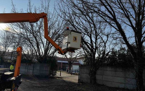 Δήμος Κατερίνης: Αυτοψία του δημάρχου σε παρεμβάσεις της υπηρεσίας Πρασίνου