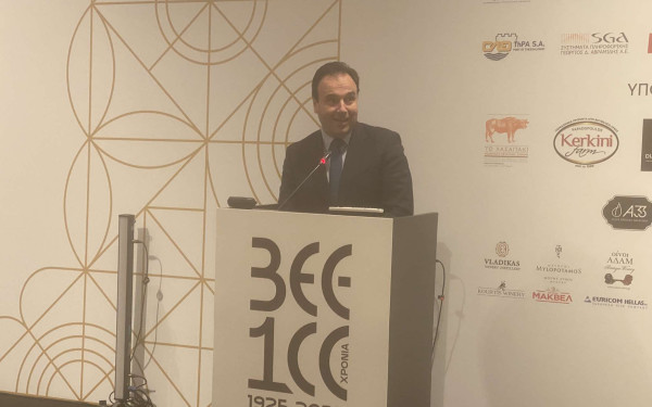 Παπαστεργίου από Θεσσαλονίκη: Βγάζουμε στρώματα γραφειοκρατίας από την καθημερινότητα – Έρχεται ο Προσωπικός Αριθμός του Πολίτη