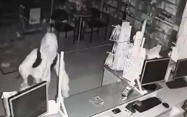 Θεσσαλονίκη: Καρέ καρέ η δράση των διαρρηκτών που ρημάζουν φαρμακεία - Σπάνε τις τζαμαρίες και αδειάζουν τα ταμεία (βίντεο)