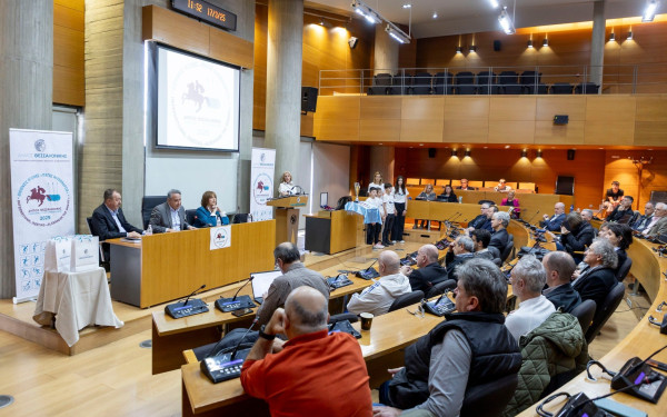 Διεθνείς Αγώνες «Μέγας Αλέξανδρος» - Αγγελούδης: «Περιμένουμε 10 με 15 χιλιάδες επισκέπτες στην Θεσσαλονίκη»
