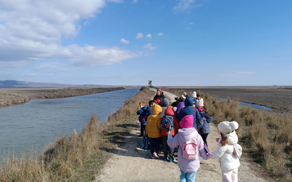 Ταξιδεύοντας με τις Νανόχηνες, από τη λίμνη Κερκίνη ως το Δέλτα Έβρου