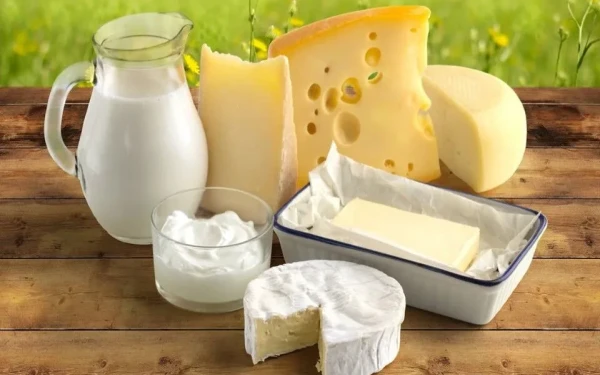 Θεσσαλονίκη: Με «όχημα» το πρόγραμμα «Best Cheese» του ΕΛΓΟ-ΔΗΜΗΤΡΑ το «πάντρεμα» της τοπικής ταυτότητας με τις σύγχρονες μεθόδους παραγωγής τυροκομικών