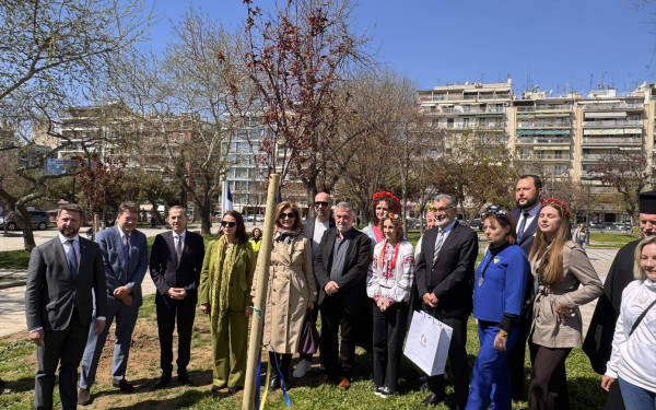 Θεσσαλονίκη: Στην Πλατεία Αρχαίας Αγοράς 21 δένδρα για την Ελληνοουκρανική φιλία