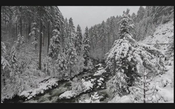 Μηλιά Μετσόβου: 6 ιστορίες από το χωριό της Πίνδου με τα καλντερίμια και τα πέτρινα σπίτια (βίντεο)