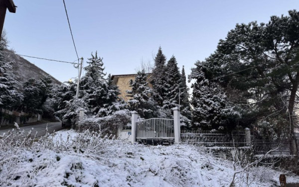 Θεσσαλονίκη: Λευκό τοπίο στον Χορτιάτη και στα ορεινά της Χαλκιδικής - Δείτε φωτογραφίες