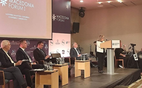 Αθ. Αηδονά: Η Περιφέρεια Κεντρικής Μακεδονίας χρηματοδοτεί 3.000 έργα και δράσεις για την επιχειρηματικότητα