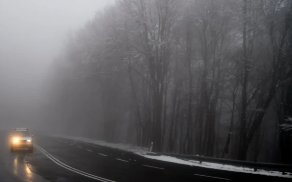 «Λευκή εισβολή» στην πόλη της Φλώρινας – Χιονίζει σε Πισοδέρι και Νυμφαίο