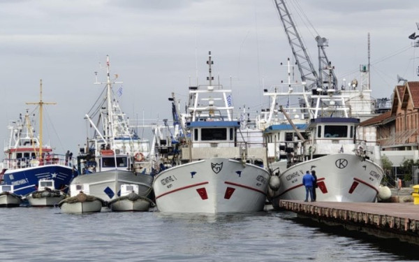 Θεσσαλονίκη: «Απόβαση» αλιευτικών σκαφών στο λιμάνι - Αντιδράσεις για τον ευρωπαϊκό κανονισμό που αλλάζει τον τρόπο ζύγισης αλιευμάτων (βίντεο)