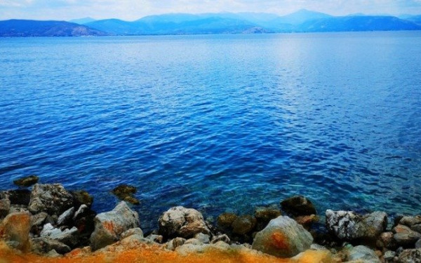 Διάκριση για Έλληνες επιστήμονες που μελετούν τις επιπτώσεις των δασικών πυρκαγιών στα θαλάσσια οικοσυστήματα