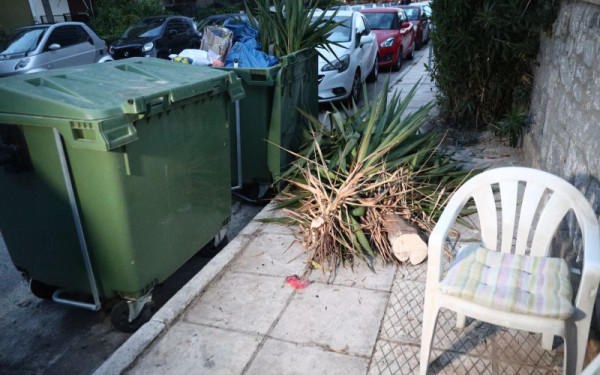 Θρίλερ με βρέφος σε κάδο απορριμμάτων στον Άλιμο: Τι εξετάζει η ΕΛ.ΑΣ. (βίντεο)