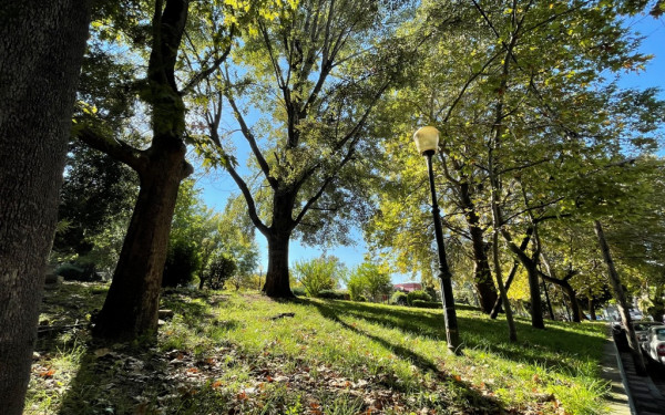 Θεσσαλονίκη: Πράσινη «ανάσα» στην Άνω Πόλη - Παραδίδεται το απόγευμα το νέο πάρκο «Δροσιά»