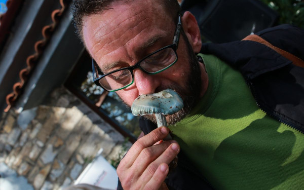 Αλτσχάιμερ, Πάρκινσον, κατάθλιψη: 4 μανιτάρια μπορούν να συμβάλλουν στην αντιμετώπιση των νόσων