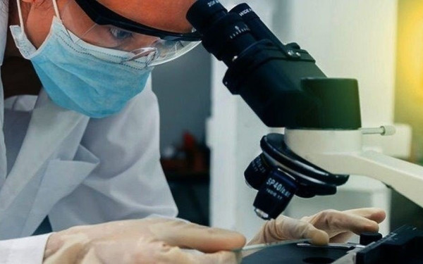 Υγεία: Οι πολυκυστικές ωοθήκες σχεδόν διπλασιάζουν τον κίνδυνο καρκίνου στο πάγκρεας