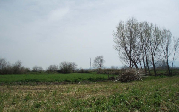 Στις 95.564 μέχρι σήμερα οι δηλώσεις ΟΣΔΕ - Ανασφαλείς οι αγρότες εκτιμά ο ΟΠΕΚΕΠΕ