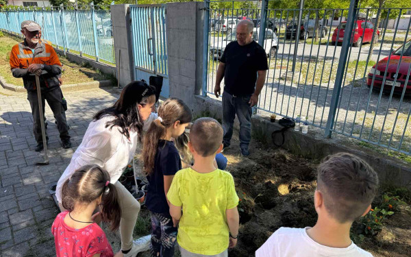 Κατερίνη:  Τα σχολεία «ανθίζουν» με πρωταγωνιστές τους μαθητές - Δενδροφυτεύσεις και Φυτεύσεις εποχικών λουλουδιών από τον Δήμο